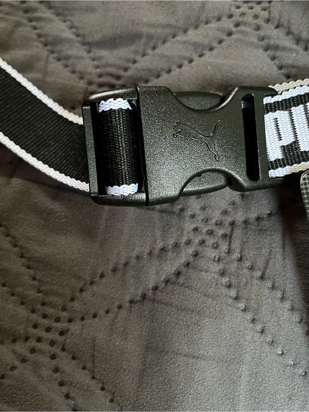Puma Silver PU 13